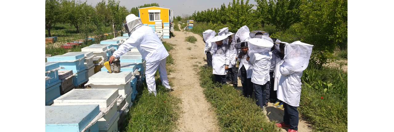 بازدید دانشمندان کوچک مدارس مهر اندیشه  از مزرعه پرورش زنبور عسل
